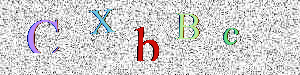 Recaptcha image